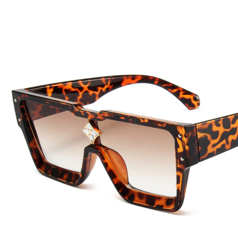 Noble Navigators Sunnies - Image 7